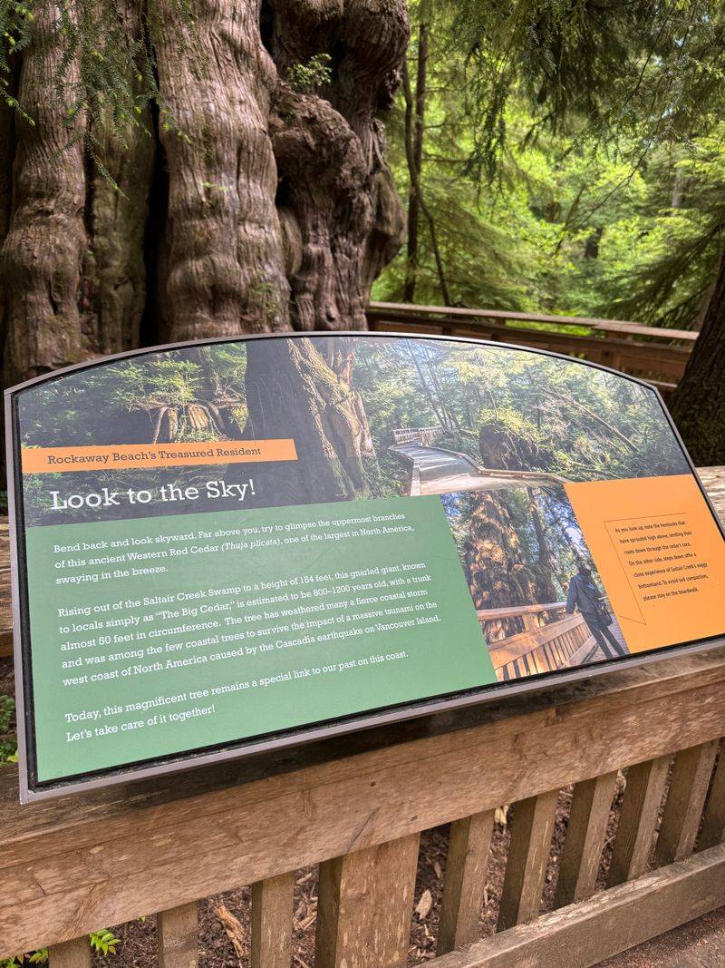 Year-Round Access Through All Seasons