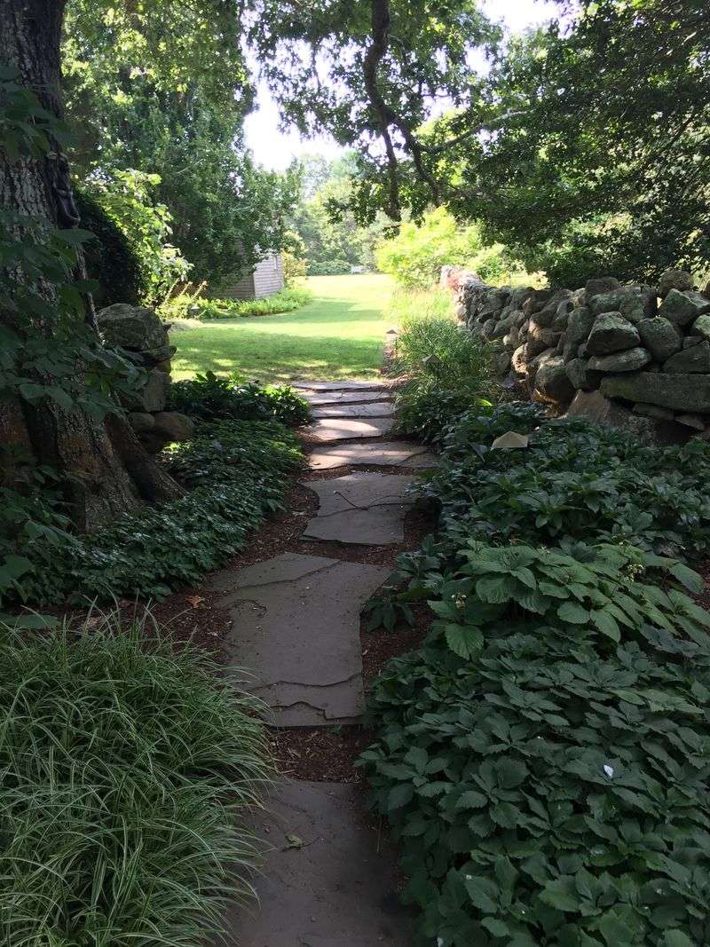 Polly Hill Arboretum