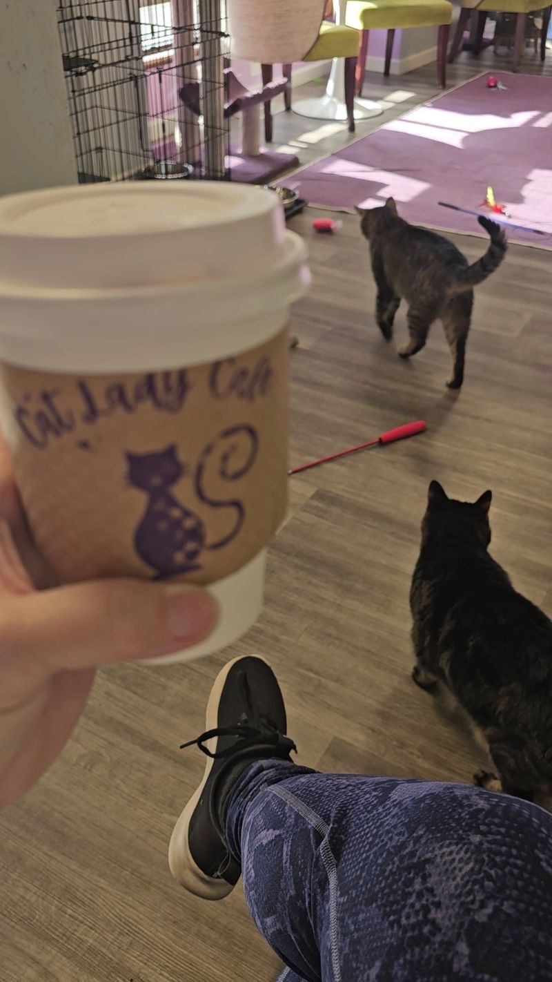 Specialty Coffee Drinks That Rival Any Coffeehouse