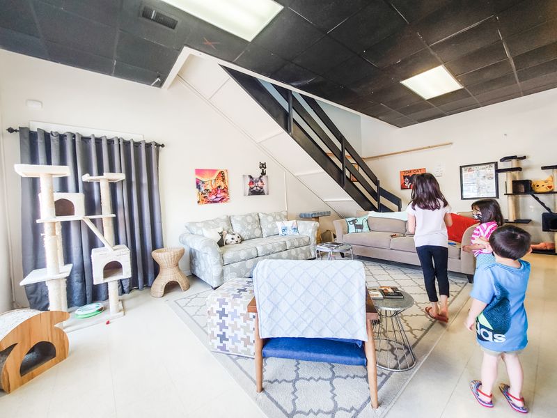 Comfortable Seating Makes Extended Visits Easy