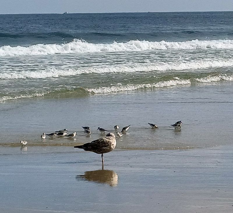 Year-Round Beauty Beyond Summer Season