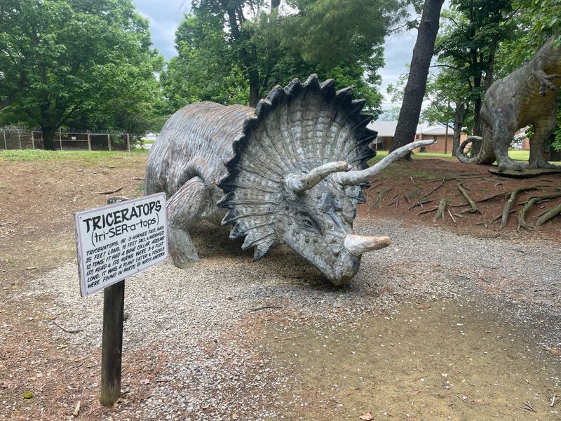 Educational Value Hidden In The Absurdity