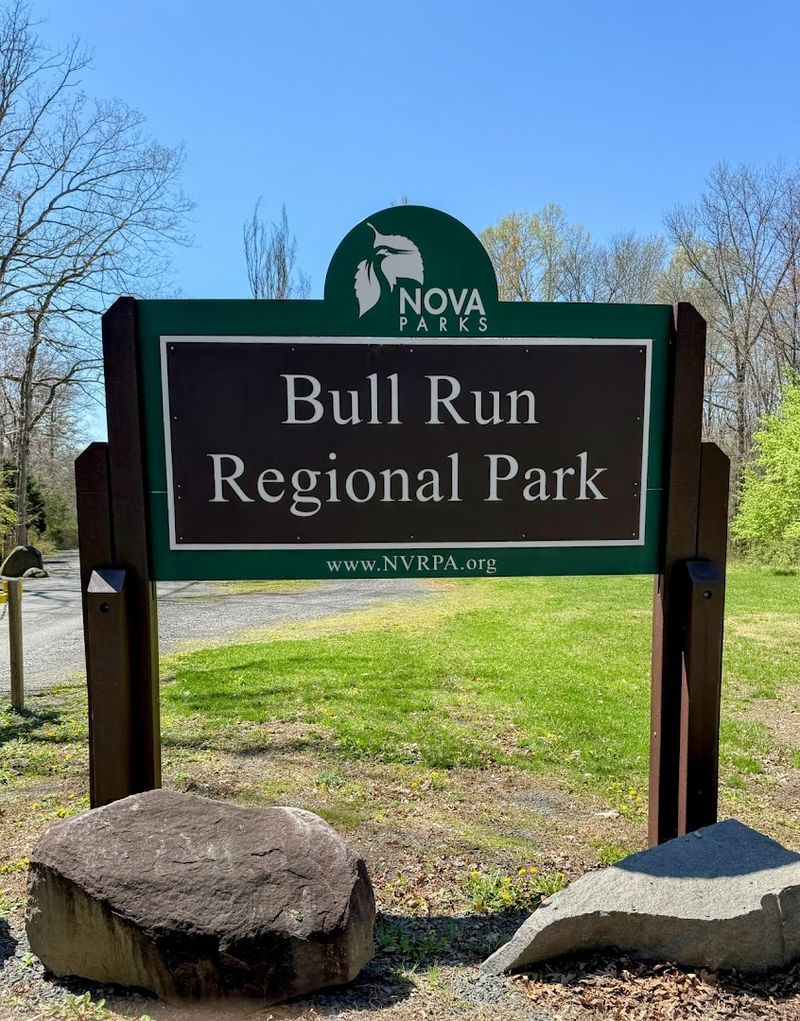 Perfect Blend of Education and Entertainment