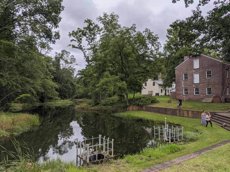 Perfect Picnic Spots with Tables and Grills