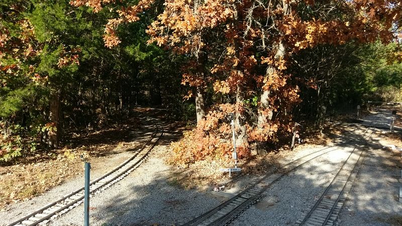 The Real Magic Lives in the Details