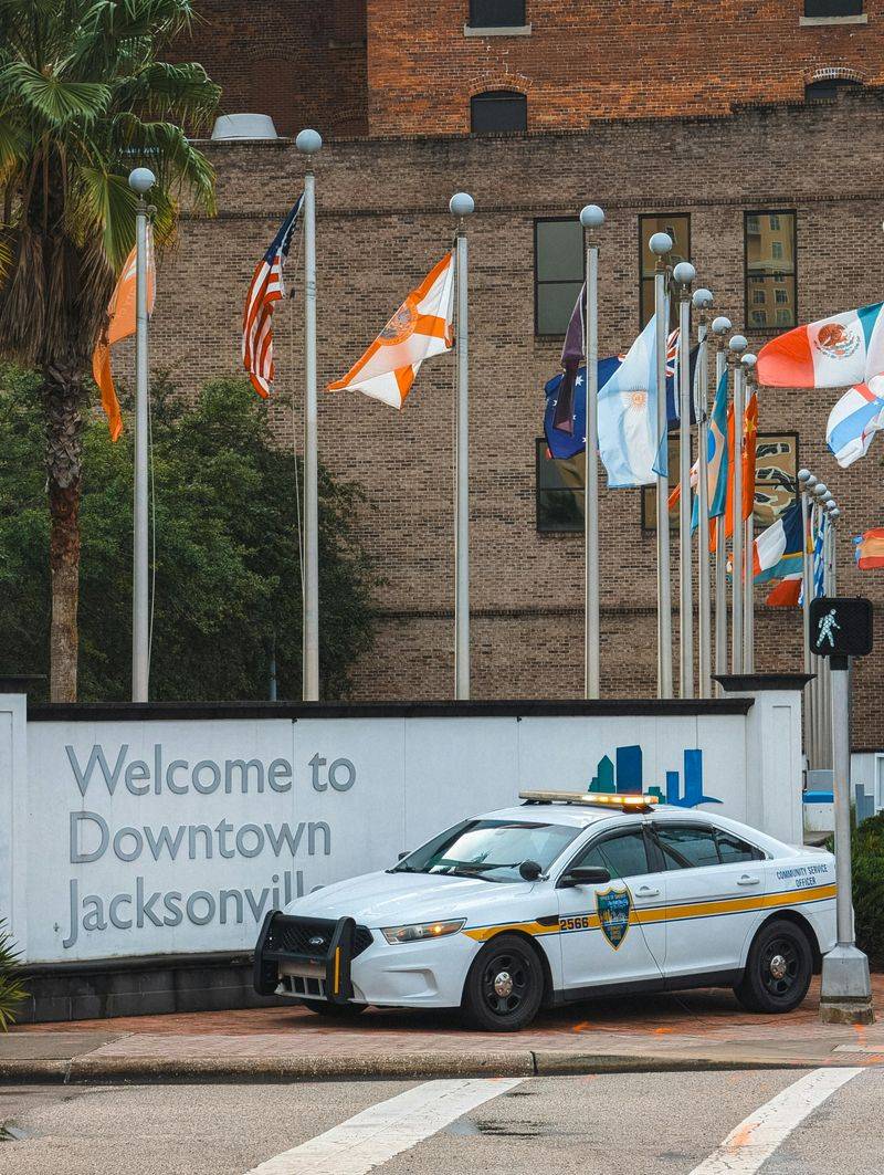 Bringing Dyed Animals Into Florida, The Part Tourists Forget Exists