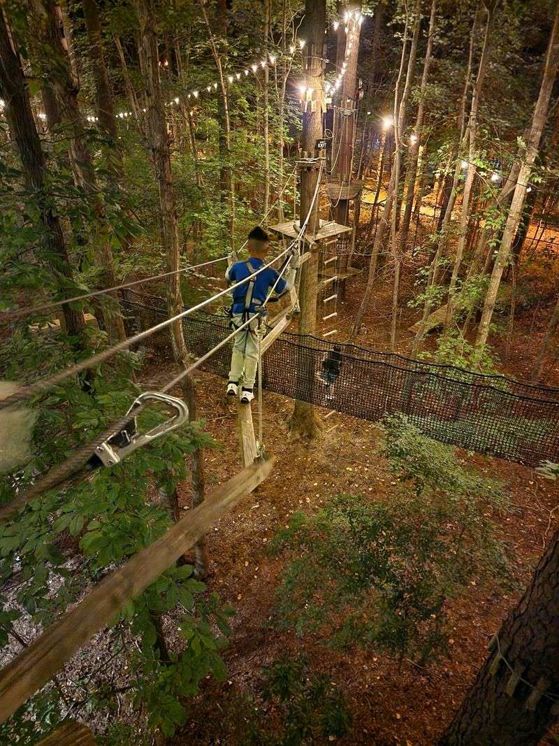 Tree Canopy Setting That Enhances Every Moment