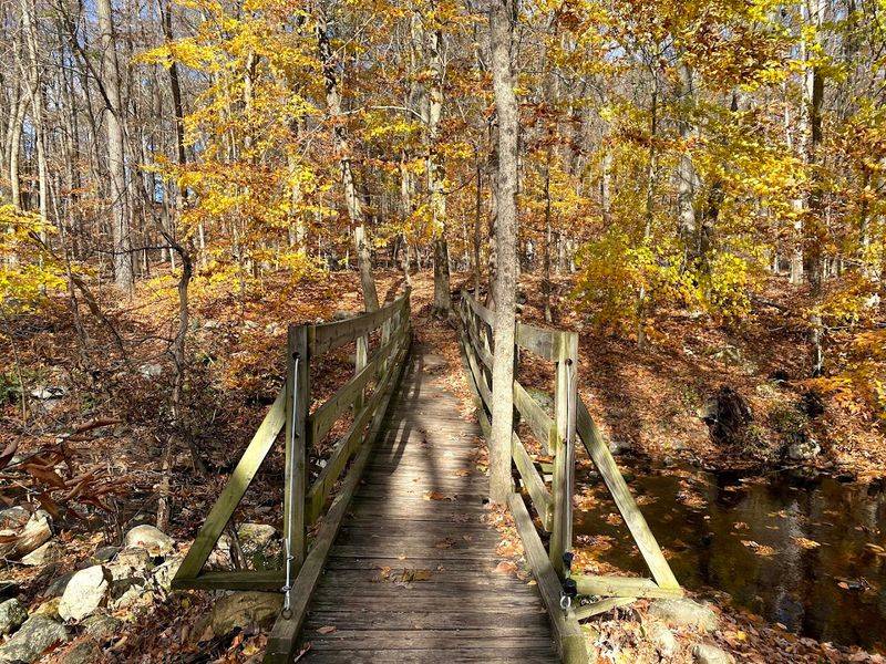 Pyramid Mountain Tripod Rock, New Jersey