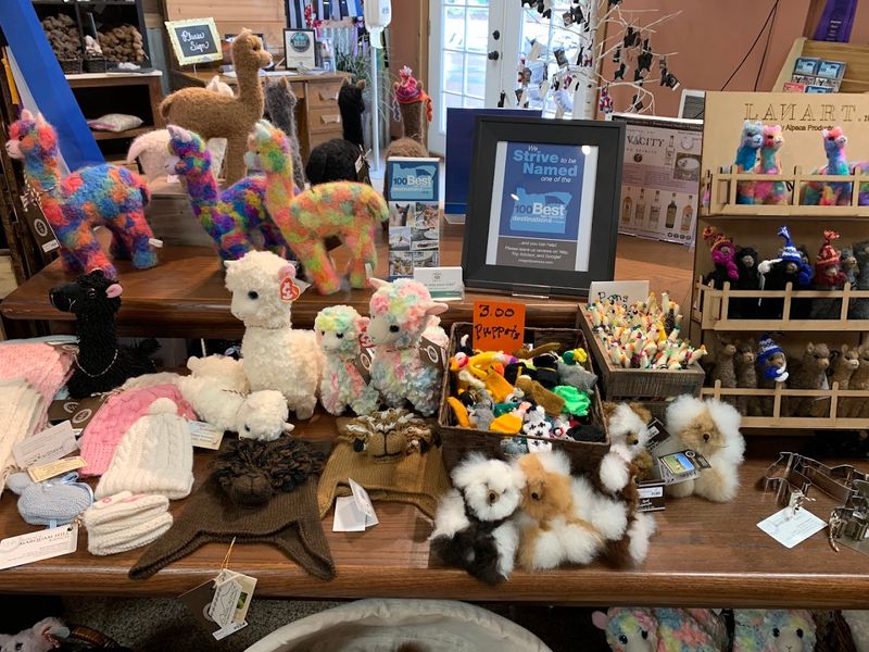 The Gift Shop Full of Soft, Handcrafted Goods