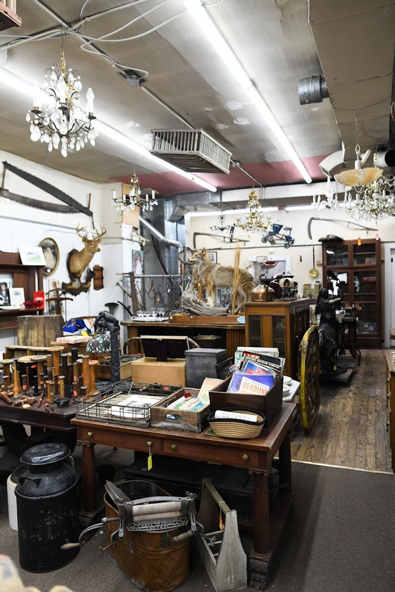 Audrey's Place Thrift Store - 3228 E 10th St, Indianapolis, IN 46201