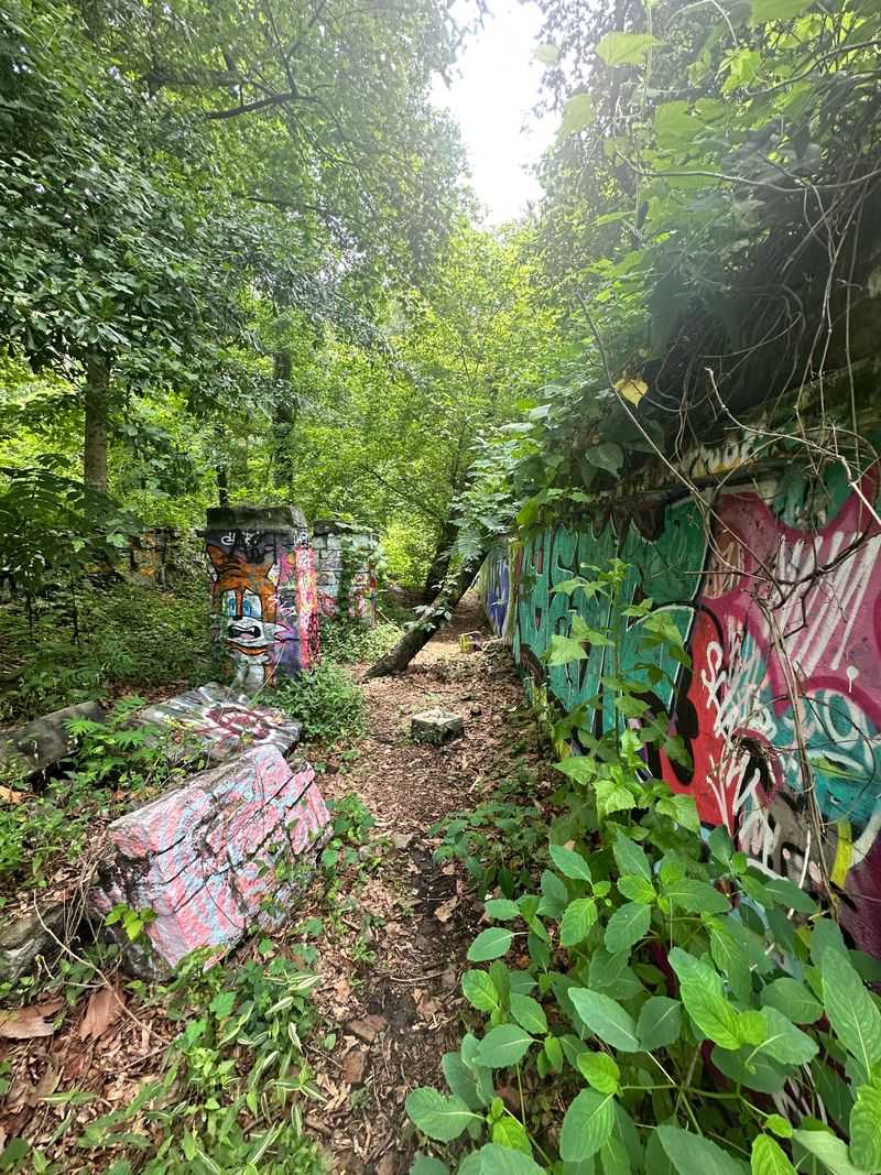 Decatur Waterworks Ruins 
