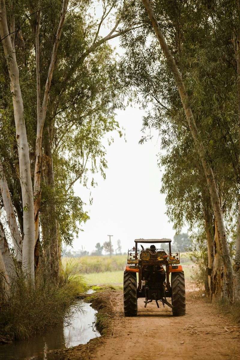Farm Equipment Keeps You Guessing