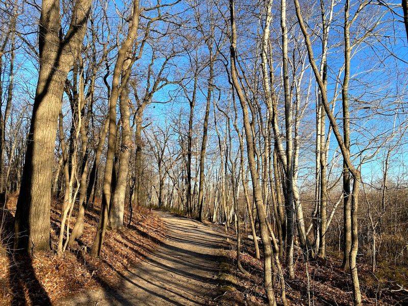 Nearby Dining and Attractions That Complete a Perfect Day in the Dunes