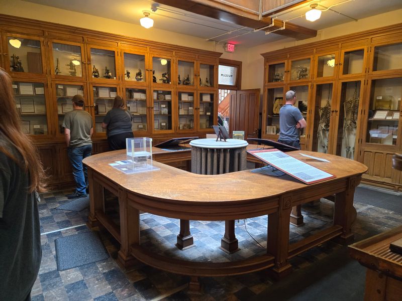 Preserved Brain Collection in Historic Jars