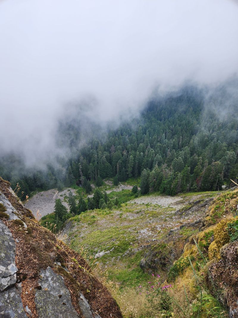 Eagle Creek Fire Recovery Zone