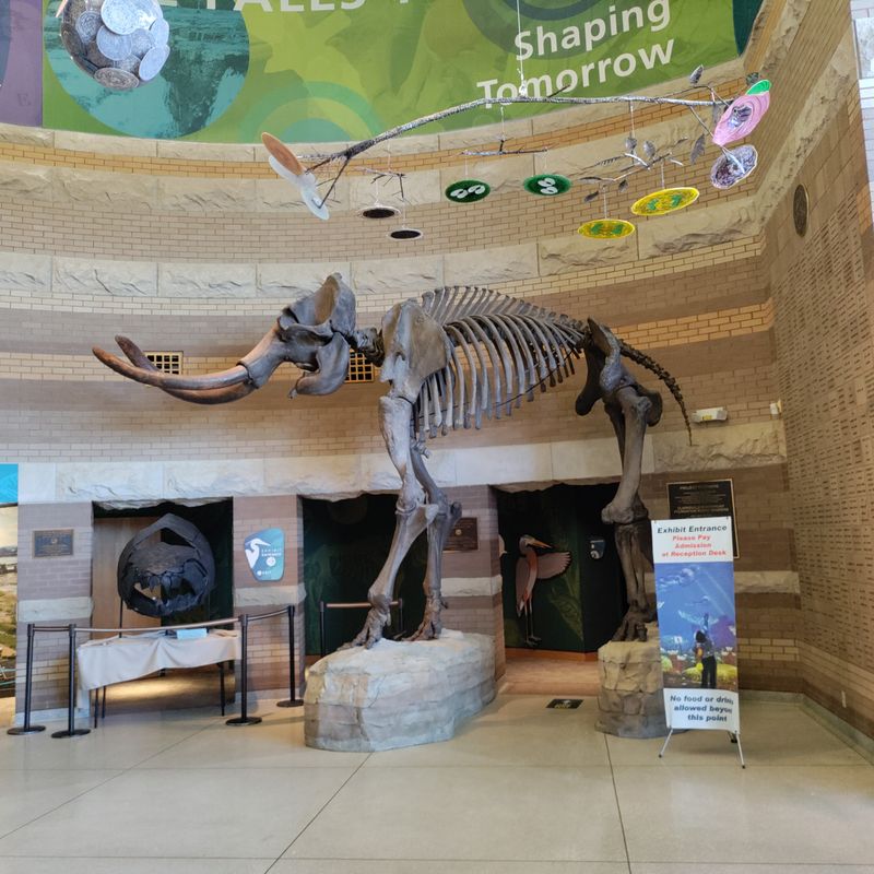 Interactive Interpretive Center With Engaging Exhibits