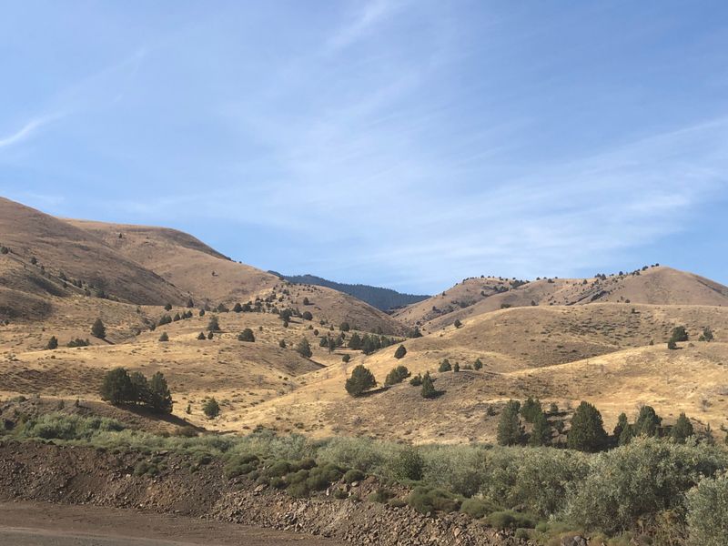 Hands-On Fossil Discovery Adventures