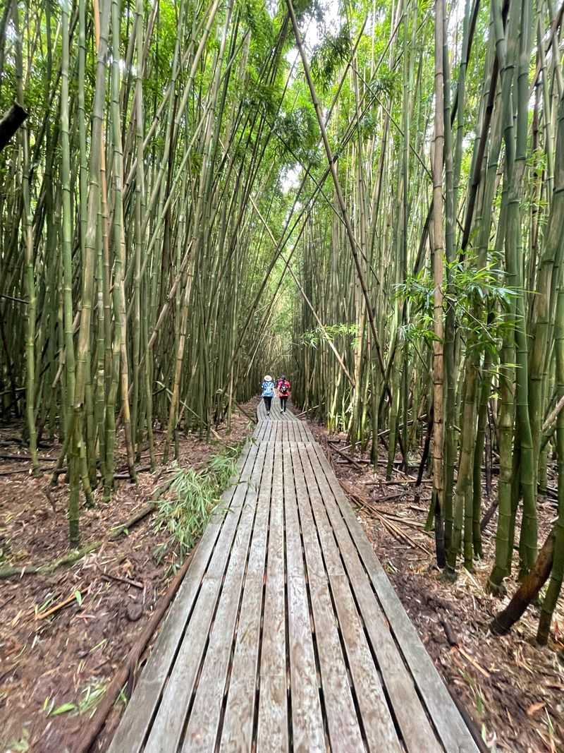 Quiet Feels Heavier The Farther You Go