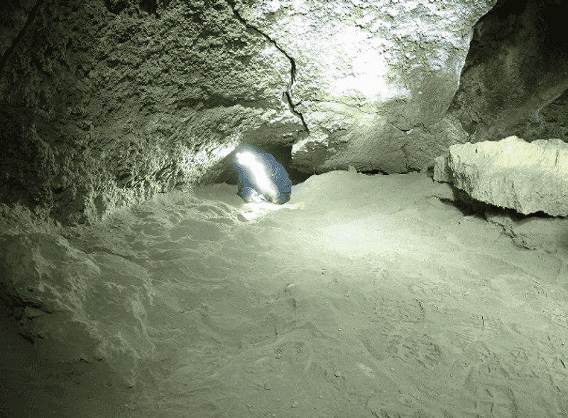 The Crawling Section That Tests Your Courage