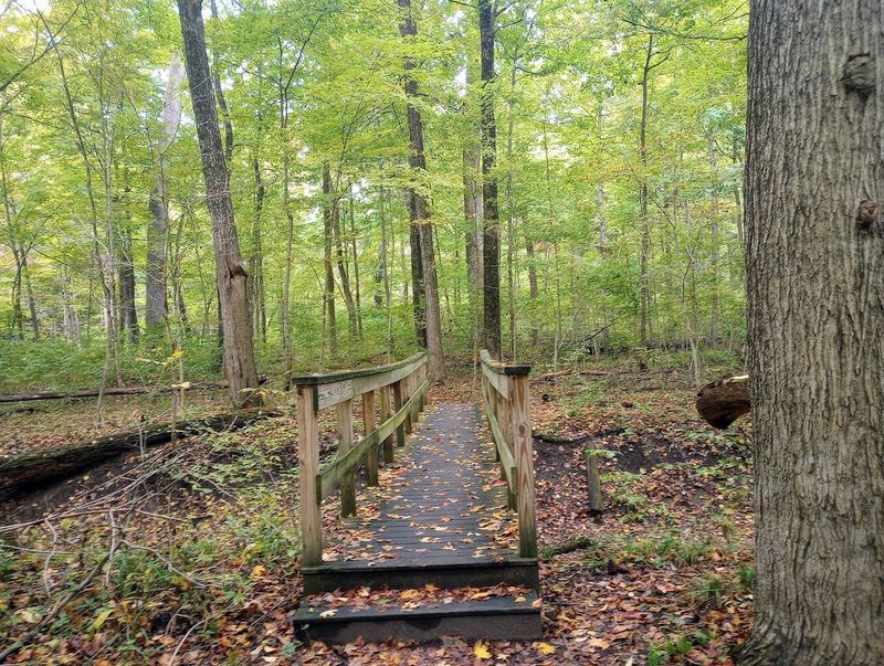 A Well-Marked 1.3-Mile Loop Trail Anyone Can Handle