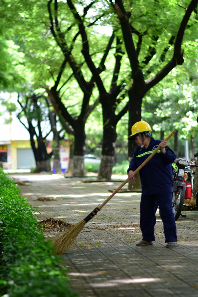Your Parking Fees Directly Fund Park Improvements