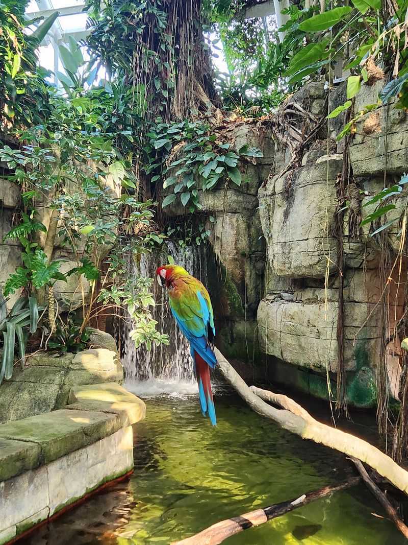 Discovery Museum Sparks Curiosity in Every Corner