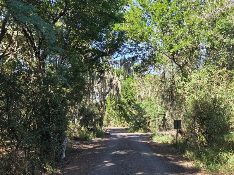 Santa Ana National Wildlife Refuge