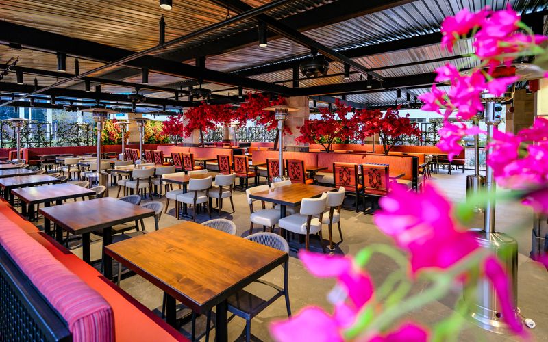 The Mexicano Scottsdale