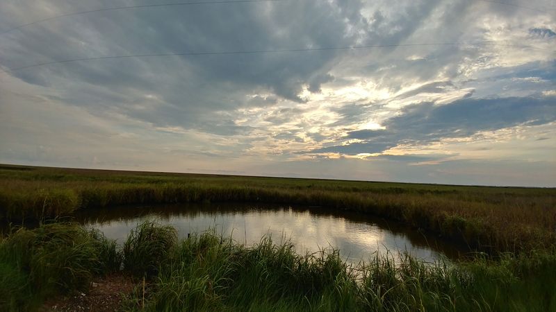Texas Point National Wildlife Refuge