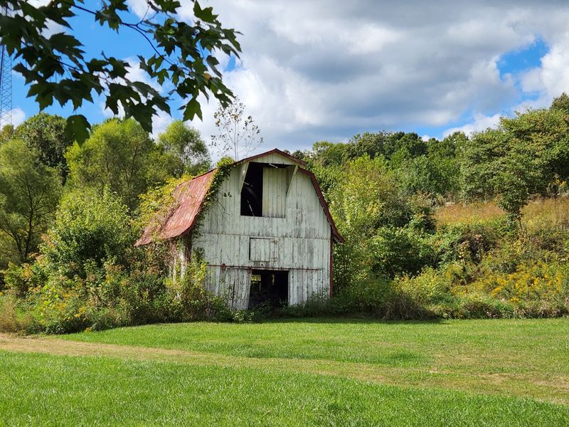 Scenic Back Roads Through Brown County Hills