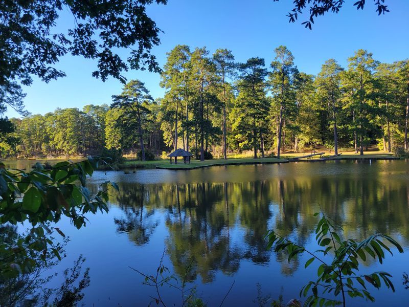 Humidity Softens The Sky In A Good Way