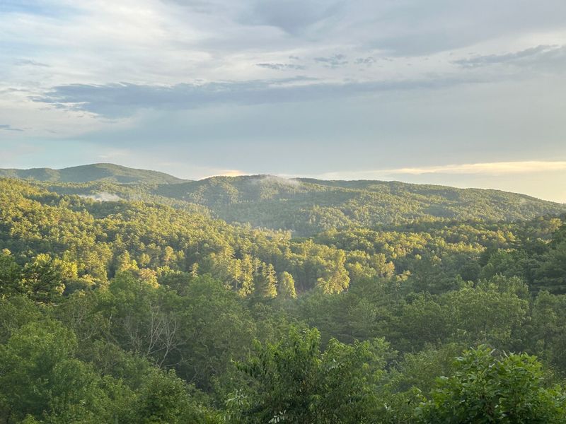 Tiger Keeps Things Small And Honest