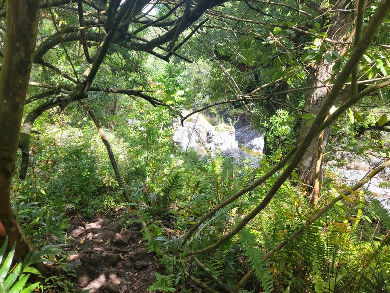 Footsteps That Echo When No One’s Behind You