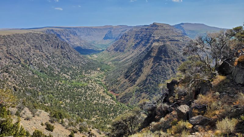 Vegetation Zones Change Like Flipping Through Ecosystems