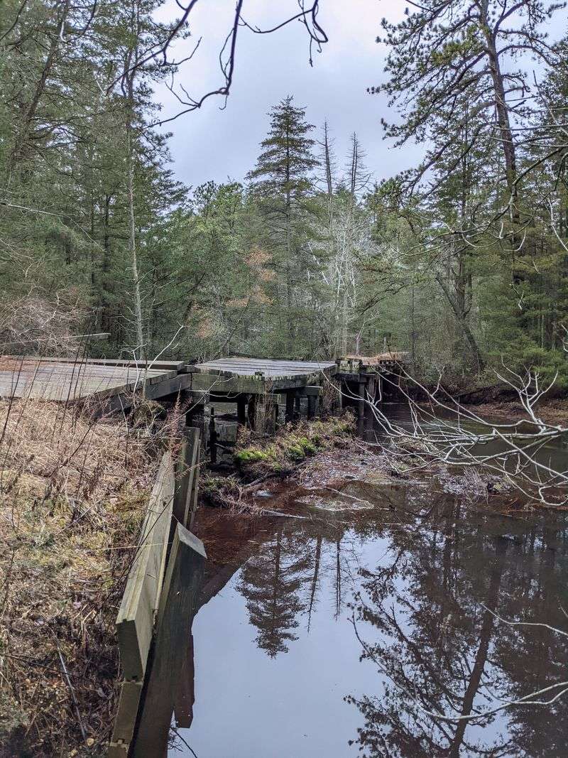 The Mysterious Ruins of Martha Furnace
