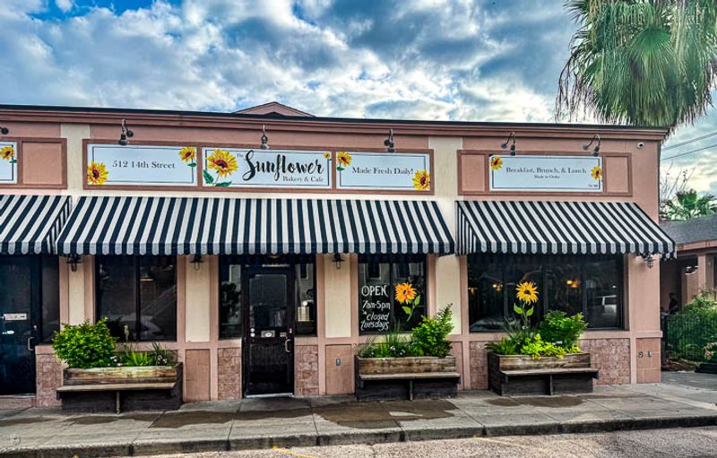 The Sunflower Bakery & Cafe, Texas