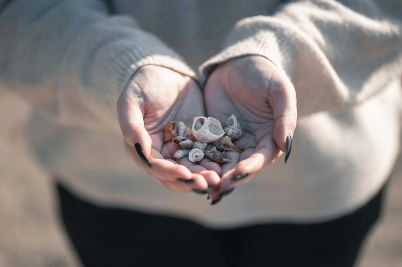 The “It’s Just A Shell” Pick-Up That Starts The Problem