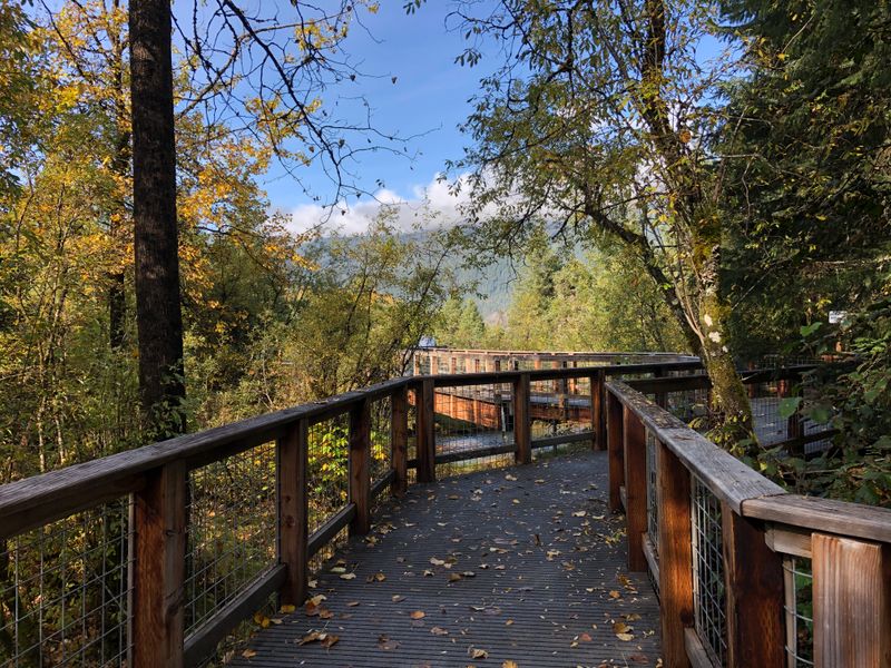 Boardwalk That Follows Glacier-Fed Life
