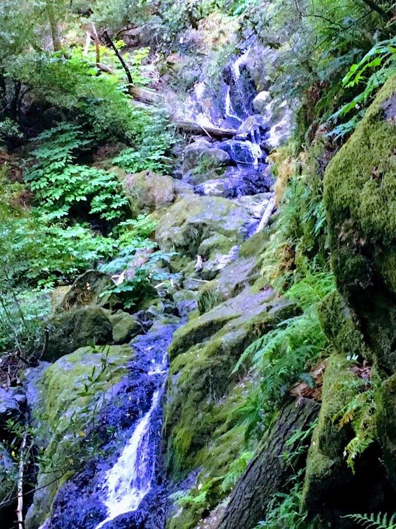 Kid-Friendly Doesn't Mean Boring For Adults