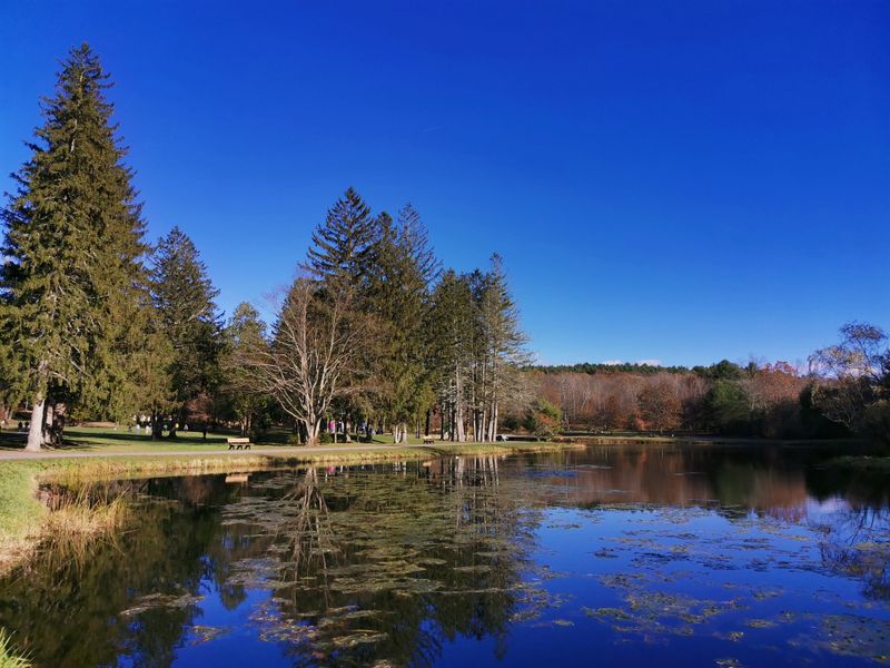 Benson Park Today, A Public Park Built On Old Footsteps