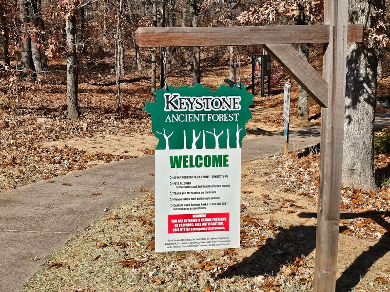 Planning Your Visit to Keystone Ancient Forest