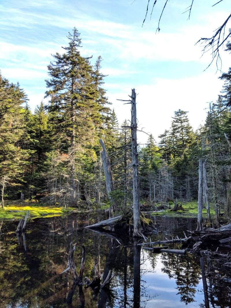 Solitude That Feels Like A Secret