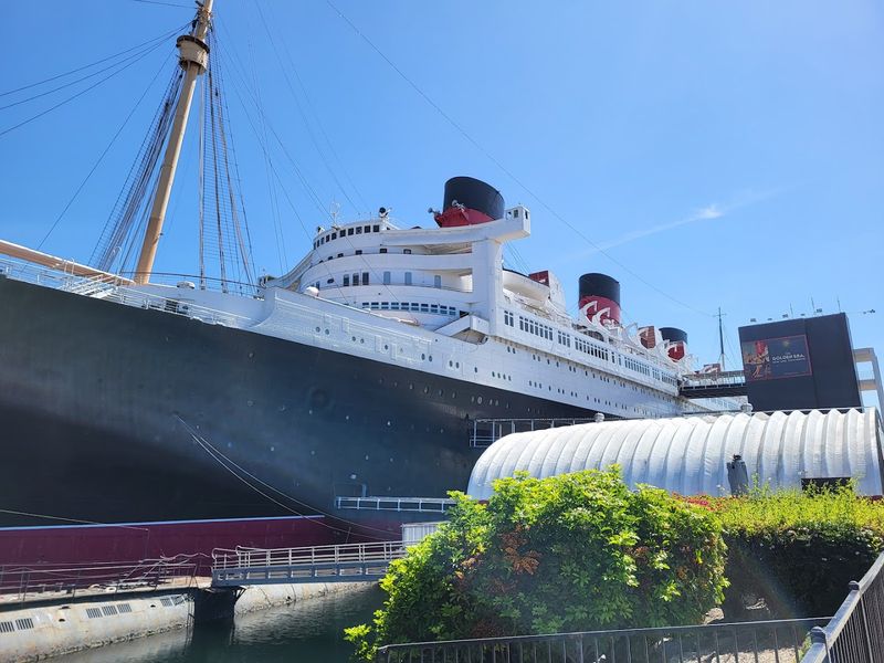 Ticket Tips That Keep The Visit Smooth