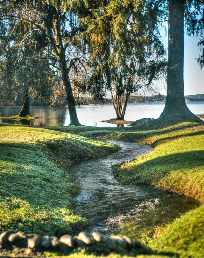 Nearby Mini Trails That Add Variety Without A Big Drive