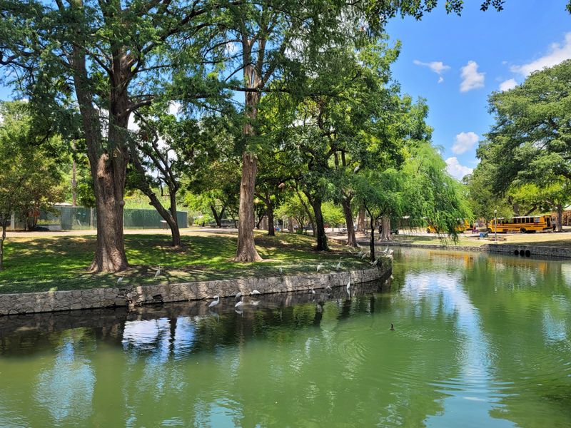 Exploring the Wider Brackenridge Park