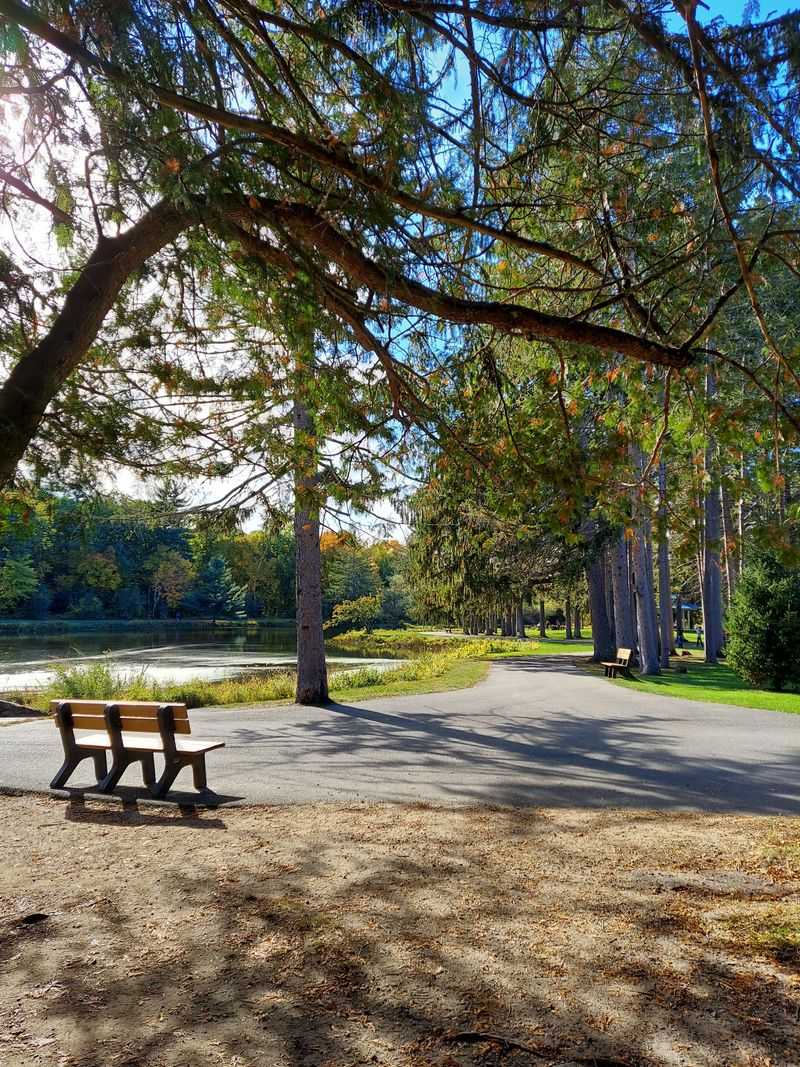 Photo Tips For Winter Light, Fog, And Empty Trails