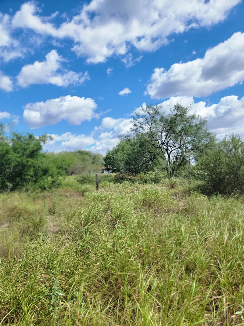 Lower Rio Grande Valley National Wildlife Refuge