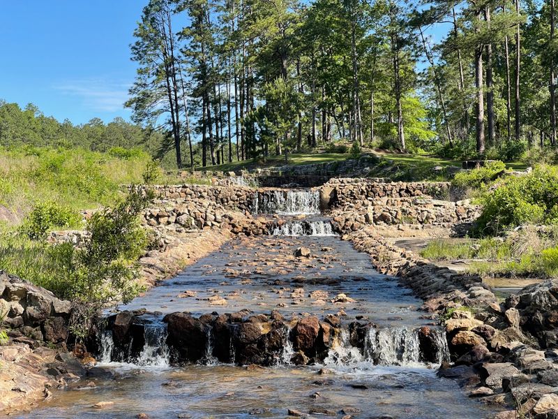 Angelina National Forest