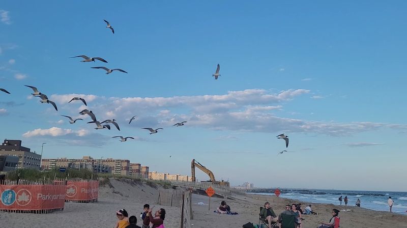 Kite Festival Spectacle