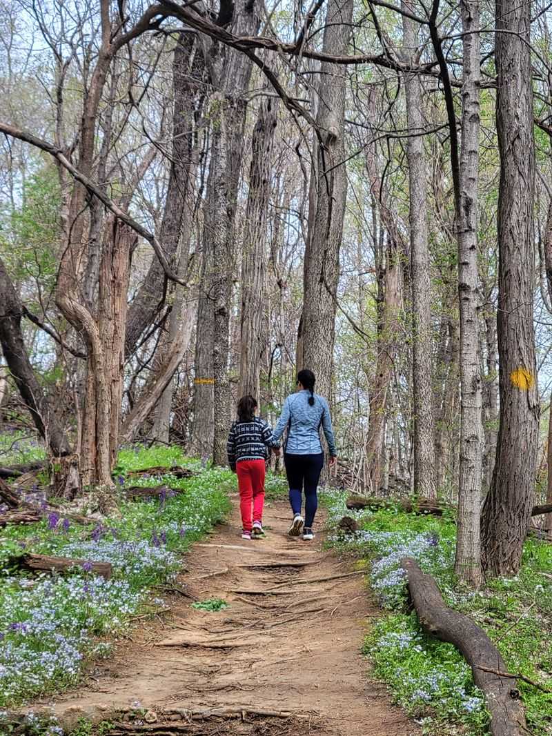 It’s Part Of A Real State Park, Not A Random Boardwalk